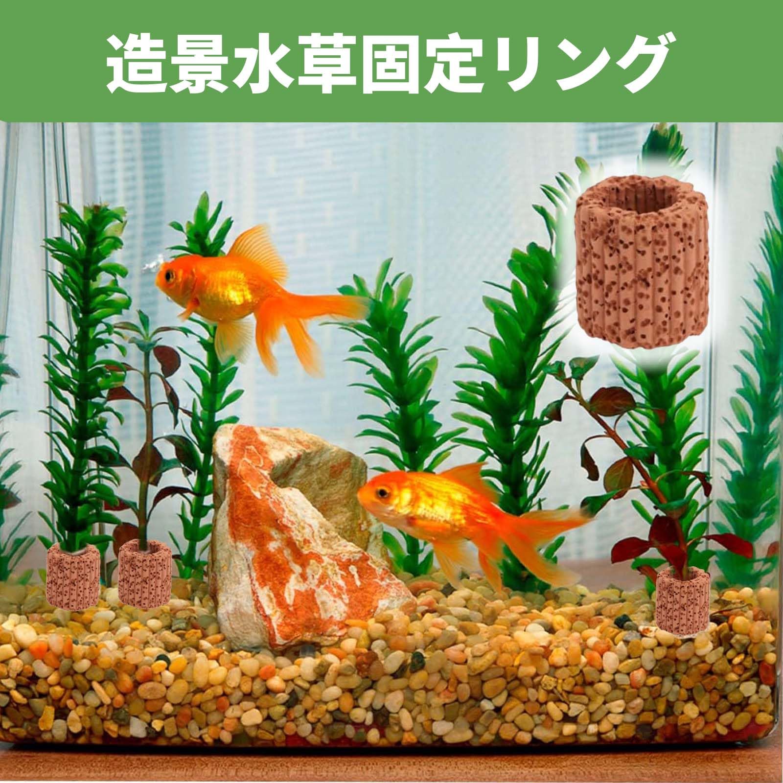 Amazon.co.jp: PAVIKE水草固定リング 【10個セット】水生植物固定